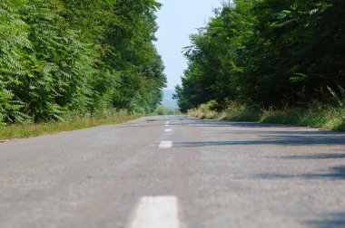 Ağaç çizgili köy yolu