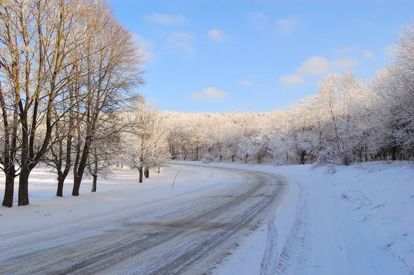 Route de campagne bordée d'arbres d'hiver — Photo