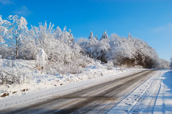 Vintern trädkantad landsväg Royaltyfria Stockfoton