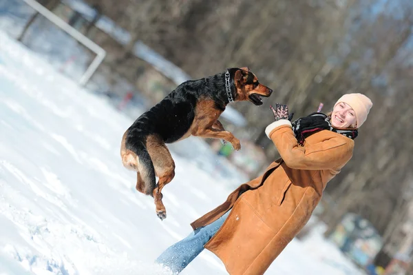 幸せな女の子は犬と遊ぶ — ストック写真