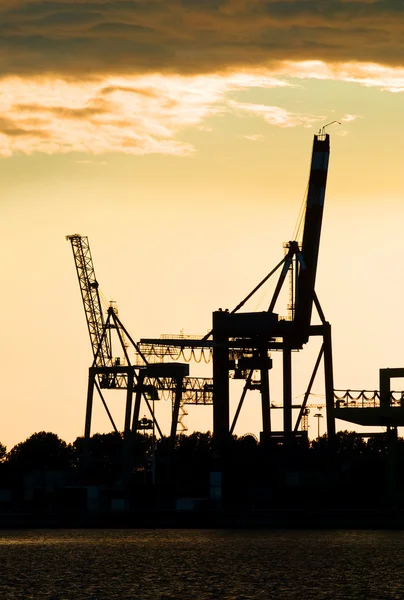 Harbor crane silhouettes — Stock Photo, Image