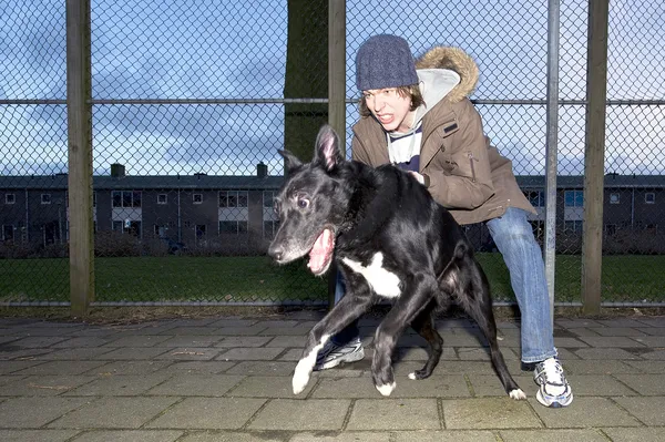 stock image Vicious dog leaping away from his owner