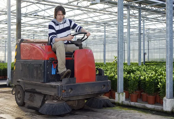 Cleaning a glasshouse — Stock Photo, Image