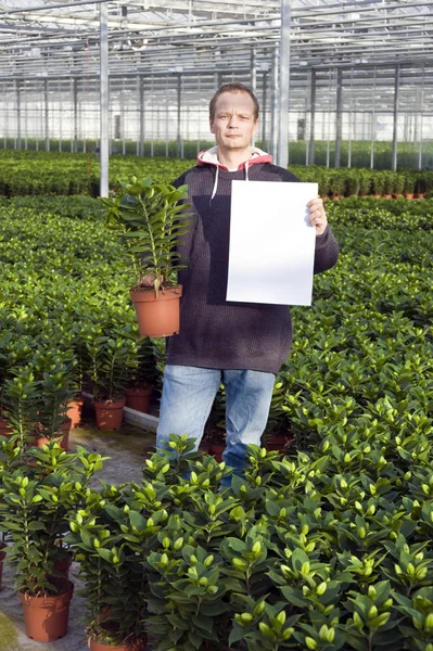 Blank sign in a glasshouse — Stock Photo, Image