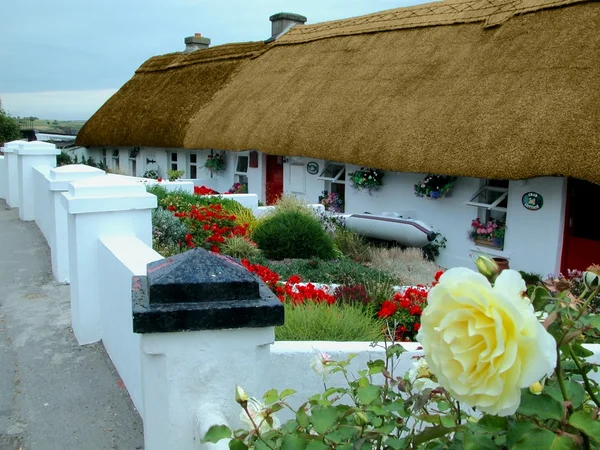 Kırsal İrlanda — Stok fotoğraf