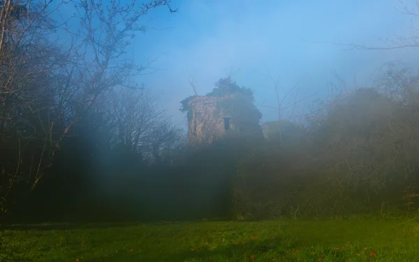 Old tower in fog — Stock Photo, Image