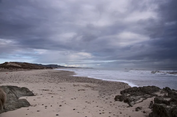 Havet strand — Stockfoto