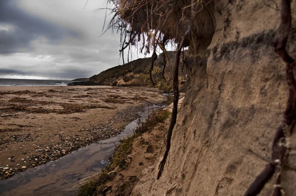 Seashore with eroded dunes — Stock Photo, Image
