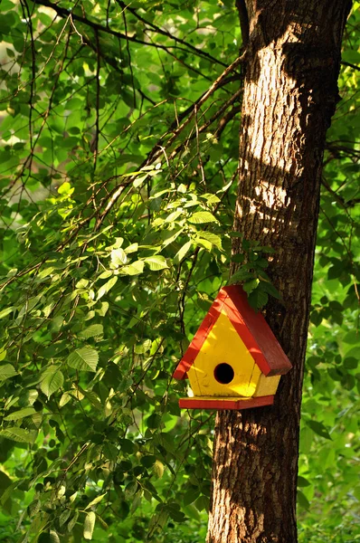 Casa de árvore de pássaro — Fotografia de Stock