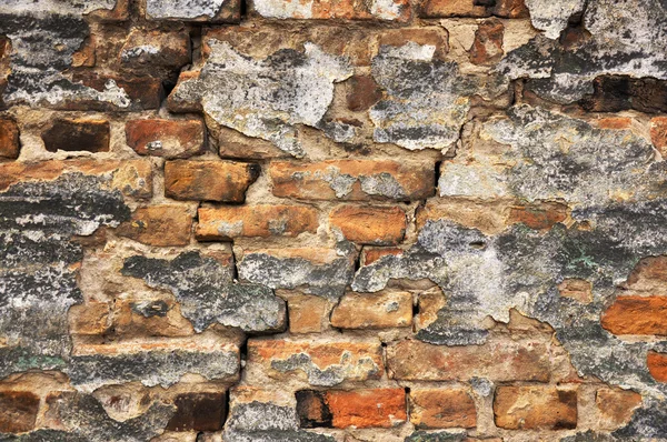 Brickwall — Stok Foto