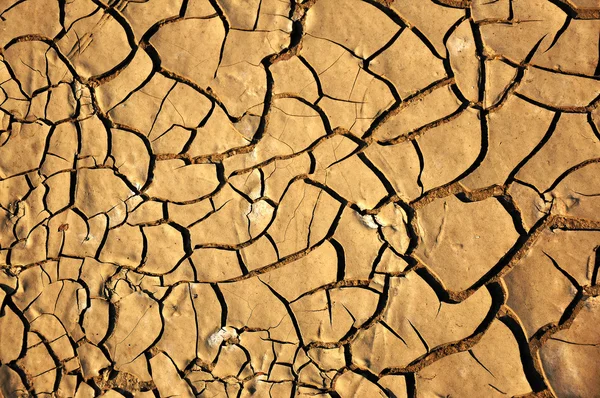 stock image Dry Dirty Ground