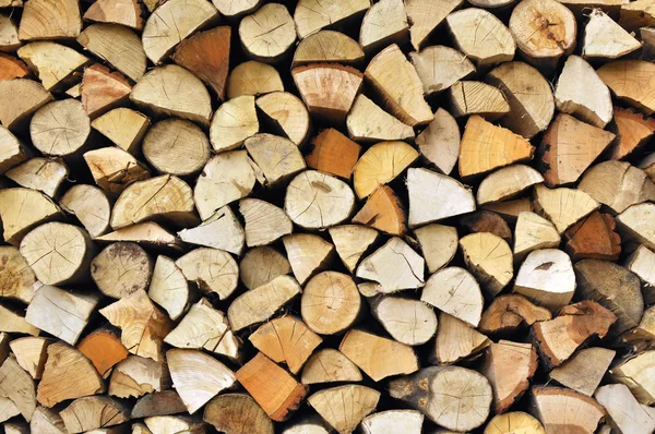 Montón de madera —  Fotos de Stock