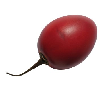 Fruit tamarillo or tsifomandry beet clipart