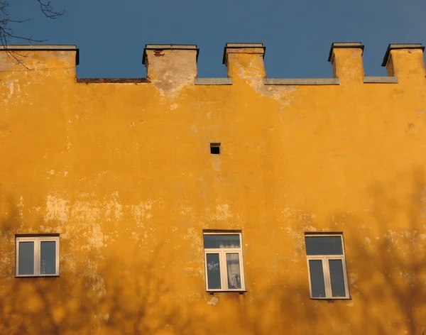 空白的墙上和树。圣彼得堡 — 图库照片