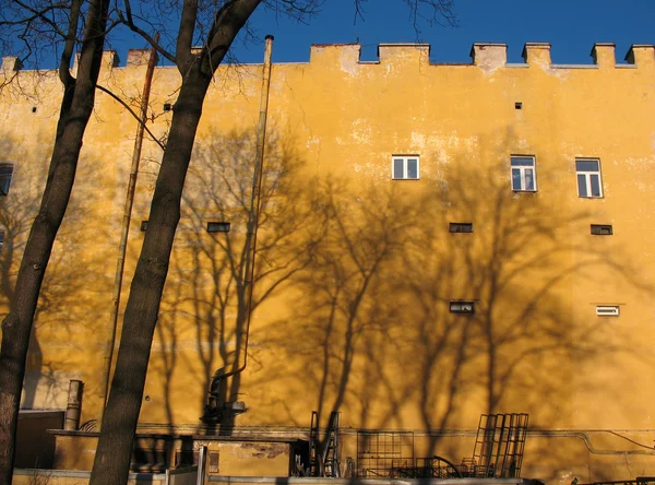 Gelbe Wände und schwarze kahle Bäume. st.pe — Stockfoto
