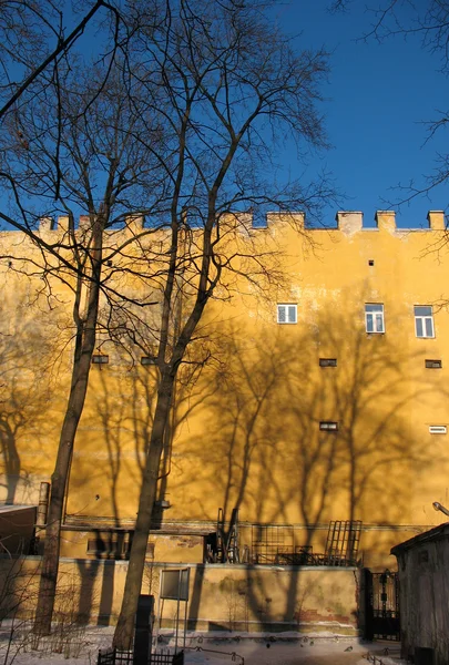 Ağaçlar çıplak sarı duvarlar ve siyah. St.pe — Stok fotoğraf