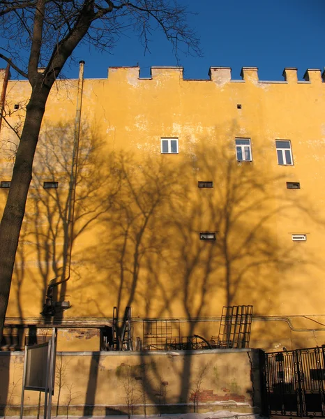 Κίτρινο τοίχους και μαύρο γυμνά δέντρα. St.PE — Φωτογραφία Αρχείου
