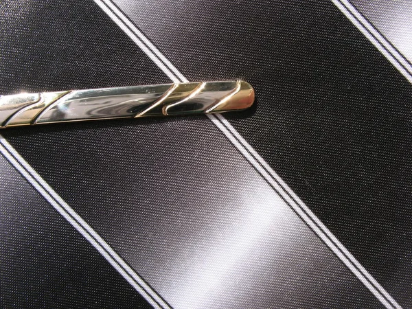 Elegant tie with clip — Stock Photo, Image