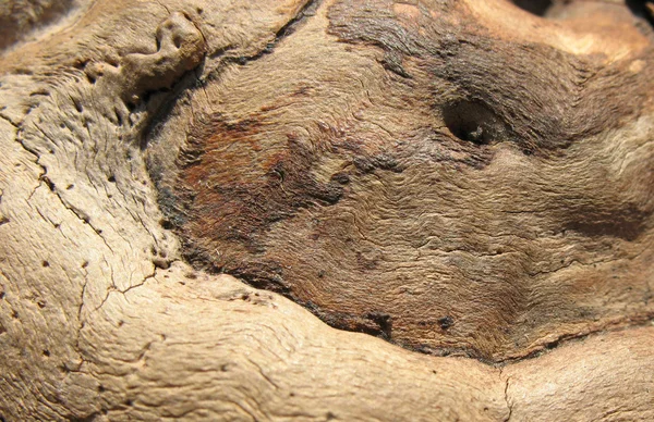 De textuur van oud hout — Stockfoto