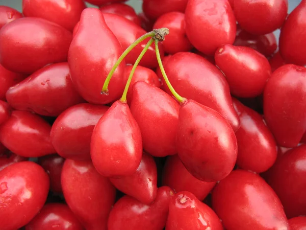 The fruits of Cornelian cherries — Stock Photo, Image