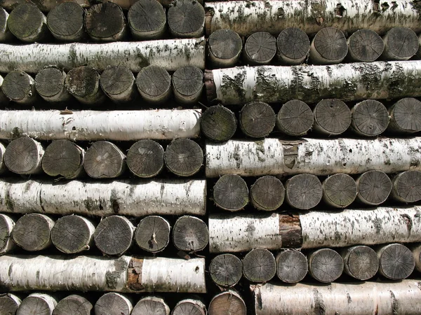 Stack of birch firewood — Stock Photo, Image