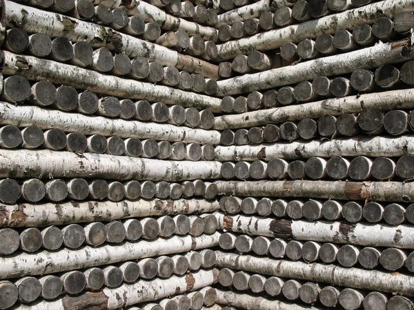Stack of birch firewood — Stock Photo, Image