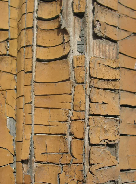 Broun trädörr med gammal färg — Stockfoto