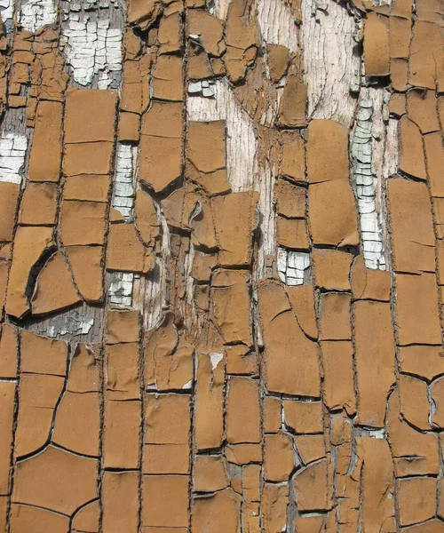 Broun porta in legno con vernice vecchia — Foto Stock