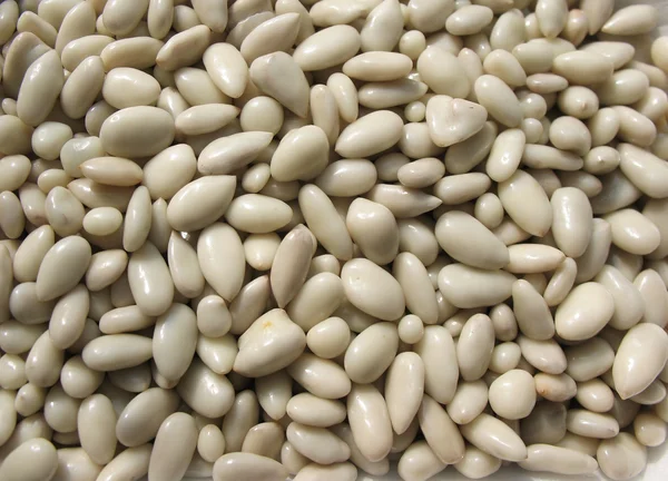 Stock image Background: sunflower seeds in yogurt