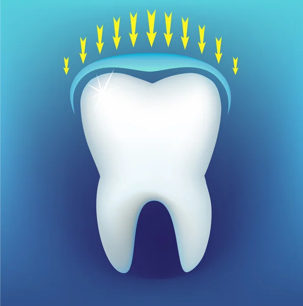 Зуб — стоковый вектор