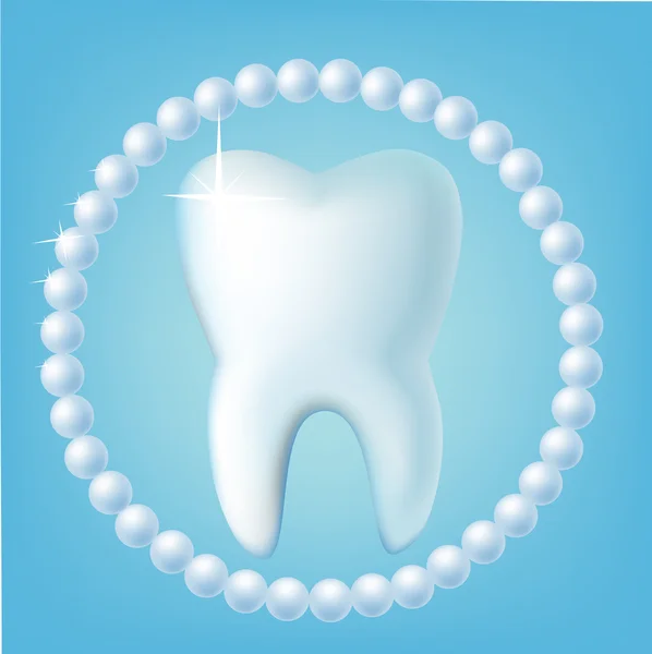 Zahn — Stockvektor