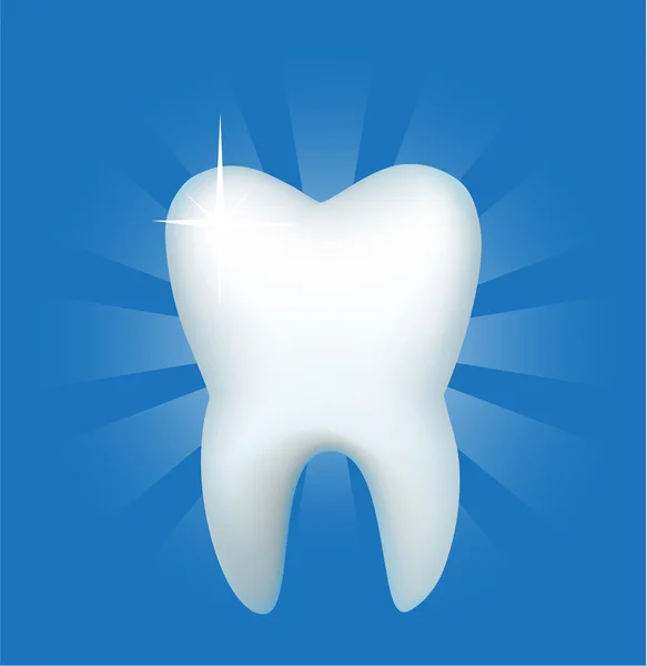 Zub — Stockový vektor