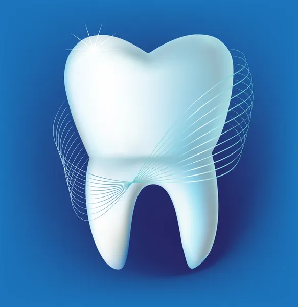 Zęba — Wektor stockowy