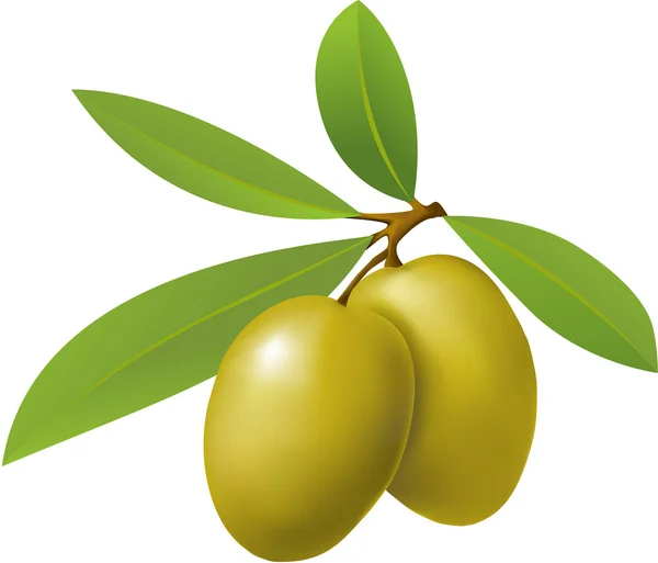 Olives — Image vectorielle