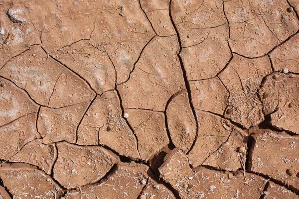 Cracked red dirt — Stock Photo, Image