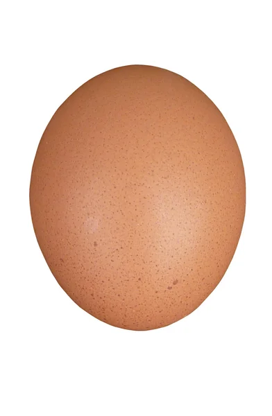 Обычное коричневое куриное яйцо — стоковое фото