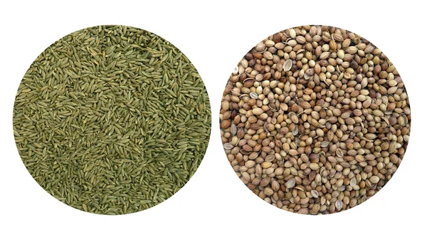 Kimyon ve kişniş tohumu — Stok fotoğraf