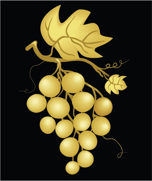 Gouden druiven — Stockvector