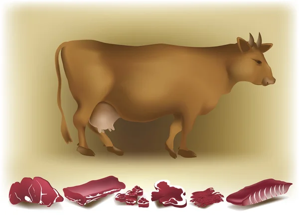 Vacă și carne de vită — Vector de stoc
