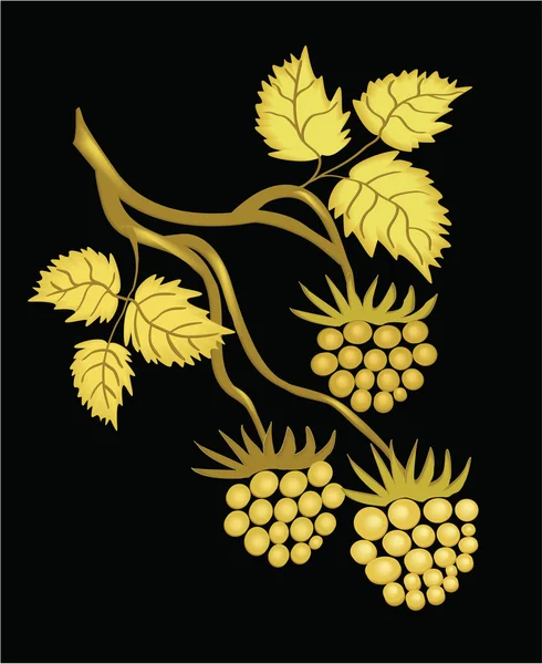 Framboise dorée — Image vectorielle