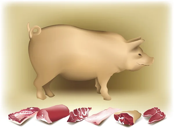 Porco e porco — Vetor de Stock