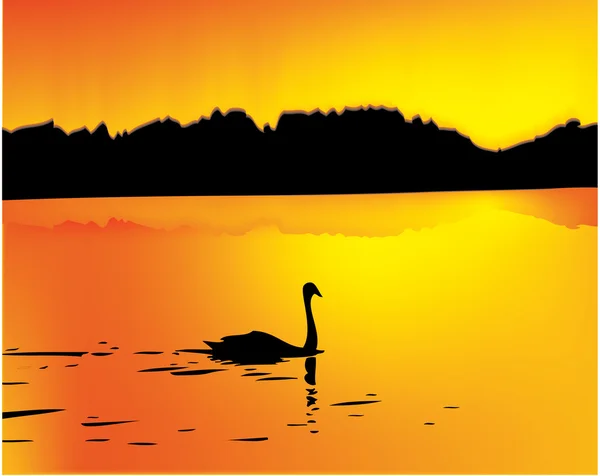 Лебедь на озере — стоковый вектор