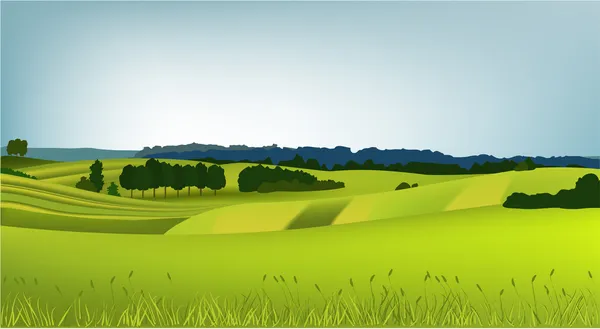 Groene landschap — Stockvector