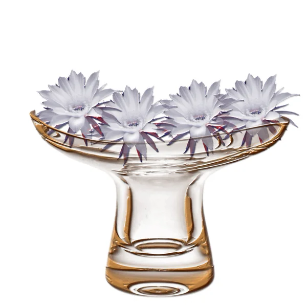 Flowers in vase — Stock Vector