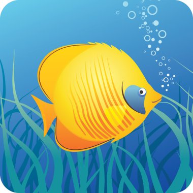 Tropical butterfly fish under water clipart