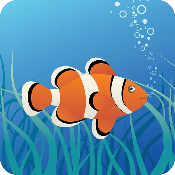 Tropical clown fish under water — Stock Vector