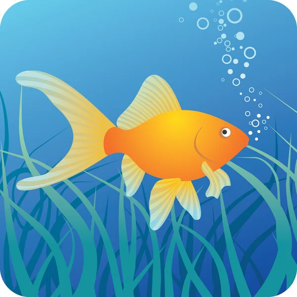Golden fish under water — Stock Vector