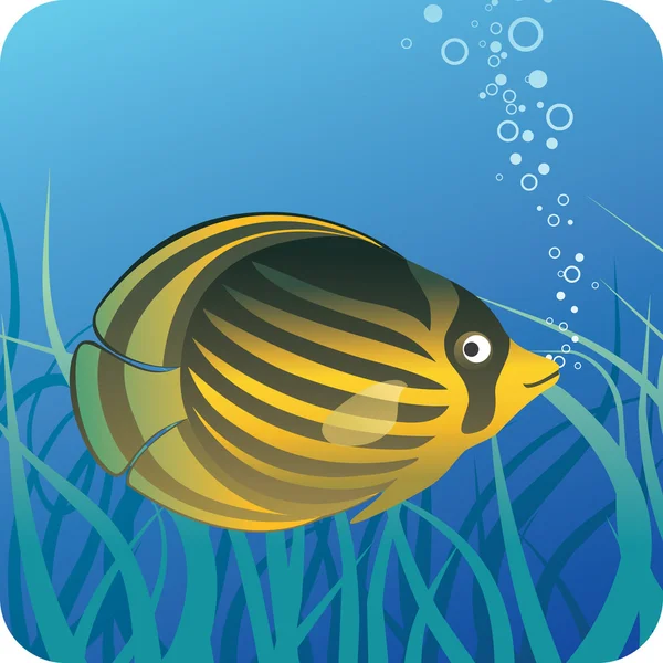 Tropical butterfly fish under water — Stock Vector