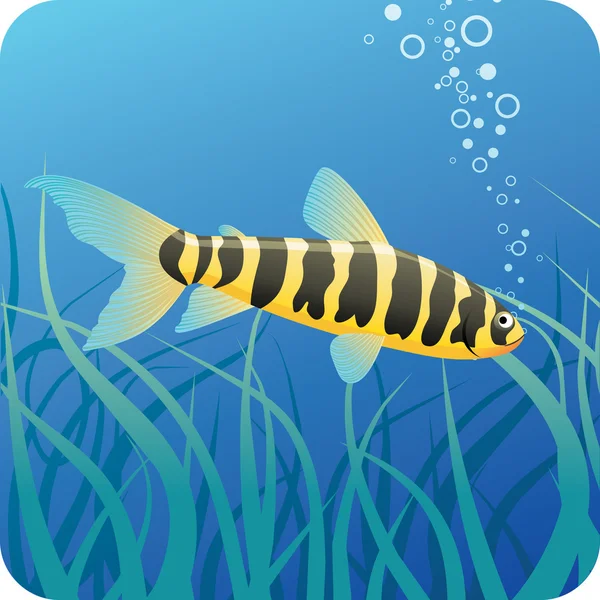 Tropical fish under water — Stock Vector
