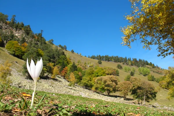 Autumn in mountains of caucasus — Stock Photo, Image